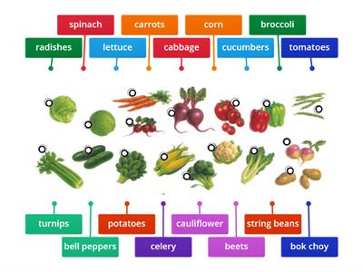 Vegetables, Part 1/2