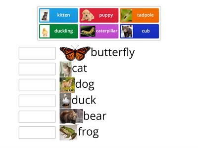 Can you match the animal baby to the adult?