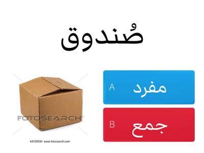 مفرد جمع / حلا شرارة