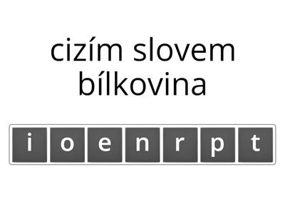 Bílkoviny