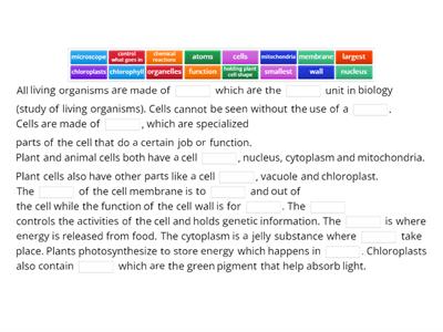 Y7 KS3 1.1 End of Lesson Summary