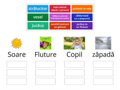 Asocieaza substantivele cu descrierea potrivita.