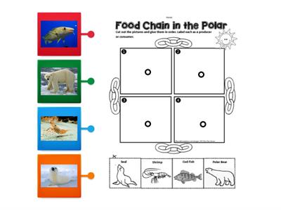 LKW Food Chain 2