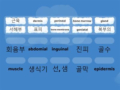 의학용어 1