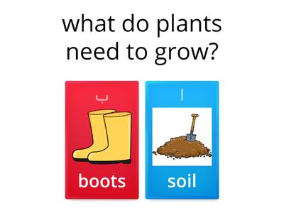  plant needs& plants parts
