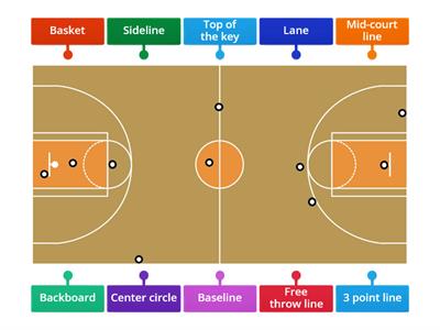 Basketball Court (label)