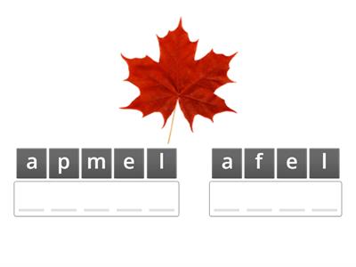 Canadian symbols L3/L1