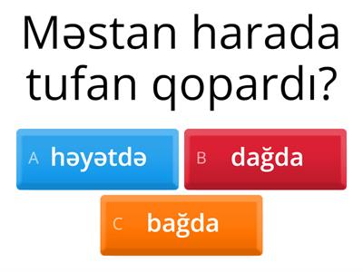 Hörmət Mürşüdova 1-ci sinif. Mövzu üzrə test