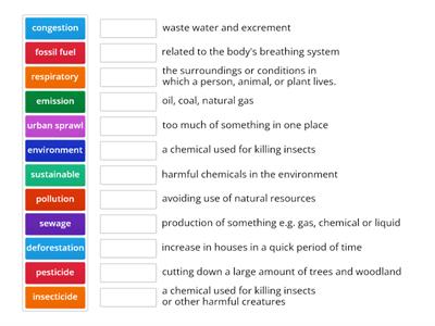 Pollution Vocabulary