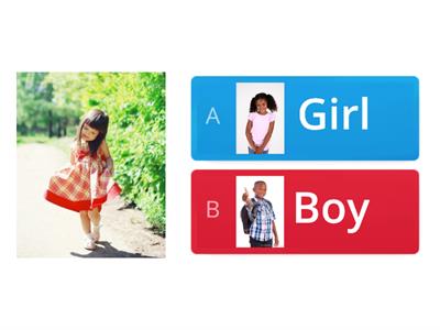 Girl/Boy Picture Matching Quiz
