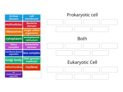 Prokaryotic cell vs Eukaryotic Cell