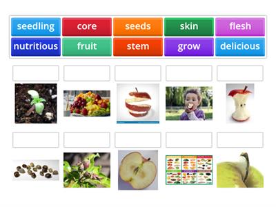 Word Wall- Apples Part 2