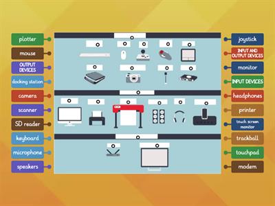 Input and Output Devices