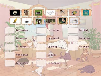 Animaux : shark, bird, fish, cat, dog, puppy, kitten, cow, horse,spider, snake...