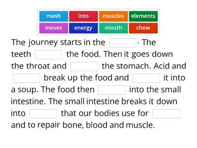 The Digestive System Process CLIL (Biology) RO2