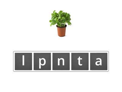 Unscramble these words with blends