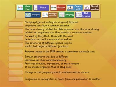 Bio Mechanisms & Evidence of Evolution