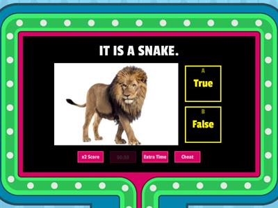  True or False Wild Animals