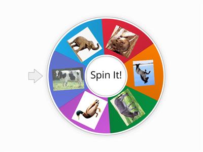 Animal spinner