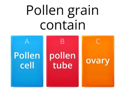 Quiz of pollen grain