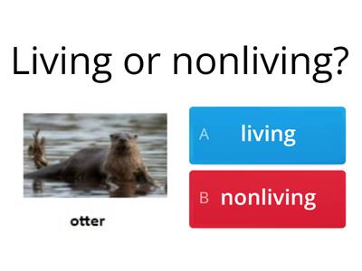 Living and Nonliving Practice
