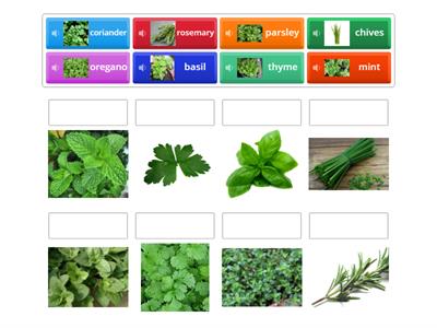 Match the different herbs 