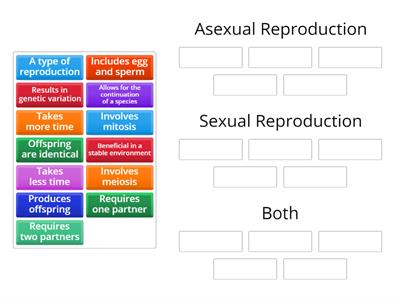 Modes of Reproduction Review