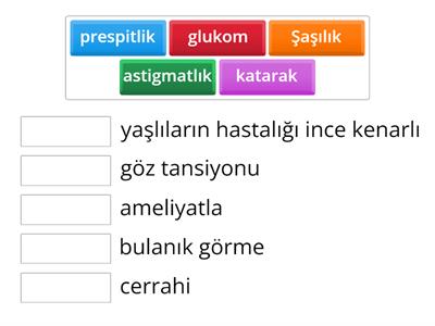 Hastalıklar 