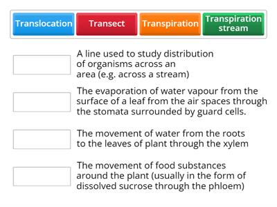 Commonly confused T-terms  in plants