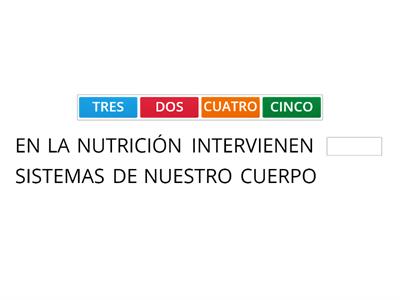 FUNCIÓN DE NUTRICIÓN