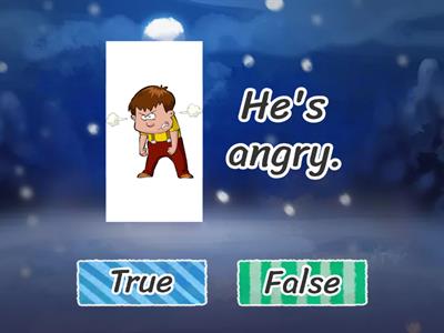 AS1 U4 feelings true/false