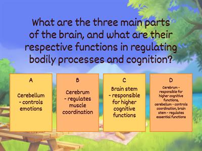 Human Brain