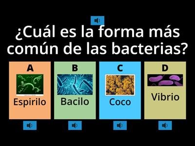 Generalidades de la microbiología