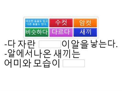 알을 낳는 동물의 한살이