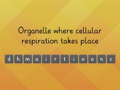 Cellular Respiration Anagrams