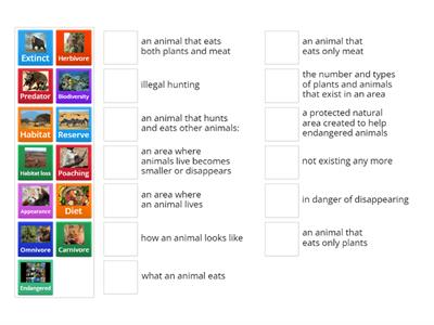 Unit 6: Sharing the planet (endangered animals)