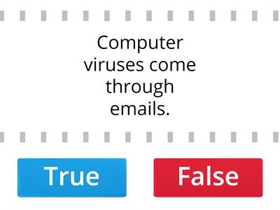 Computer viruses