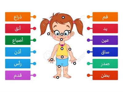 Arapça organlar
