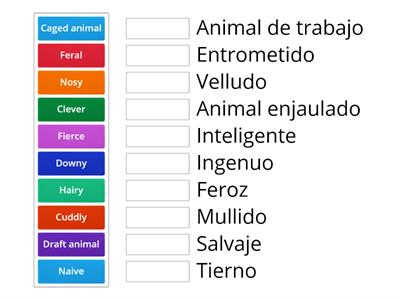 Adjectives for describing animals