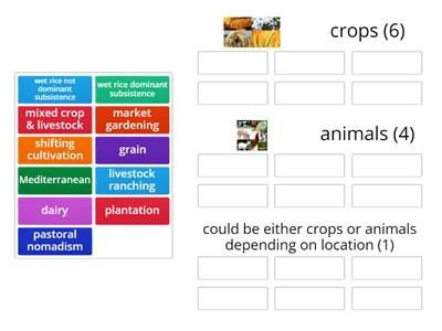 5.6 Agricultural Production Regions: Primary Focus-Crops or Animals?