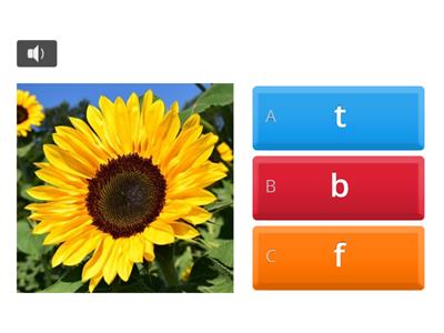What beginning letter do you hear? (t, b, f) 