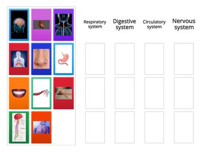 organ systems