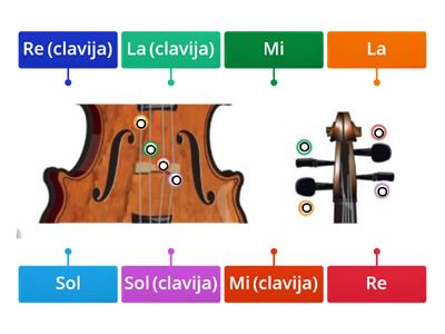 Las cuerdas de tu instrumento (Violín).