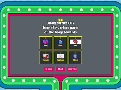 Human Body & Organ system- Gameshow quiz 