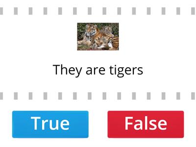 Wild animals: true or false?