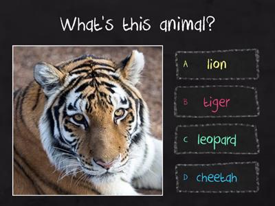 Wild Animals (Quiz)