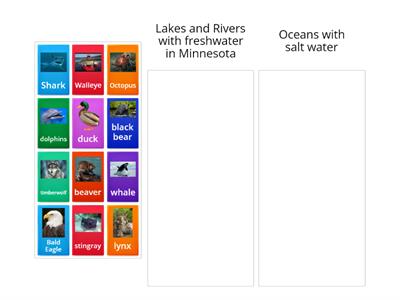Lakes and Rivers (Freshwater) or Ocean (Salt Water) Sort
