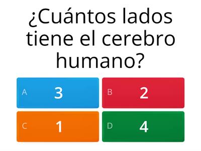 El juego del cerebro 