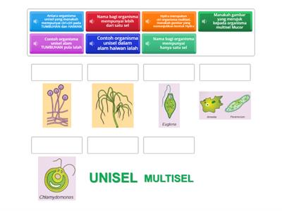 Organisma Unisel dan Multisel