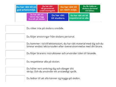 Rättigheter och Skyldigheter